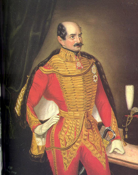 Datoteka:Novi Dvori-Jelacic-litografija.jpg